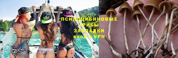 прущая мука Белоозёрский